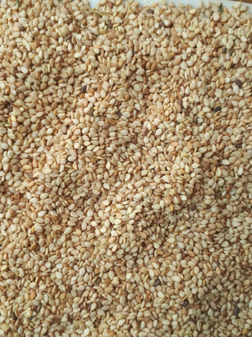 Brown Sesame Seeds